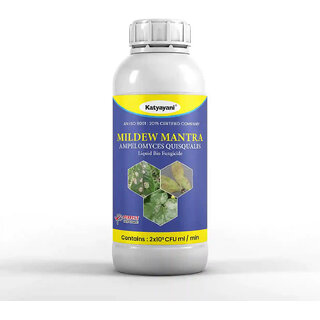 Katyayani Mildew Mantra Ampelomyces quisqualis Katyayani Mildew Mantra Ampelomyces quisqualis