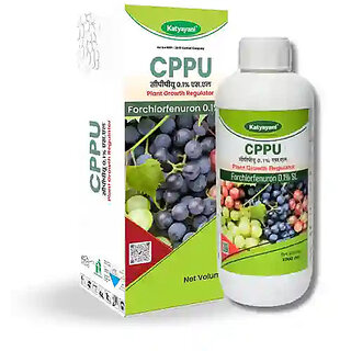                       Katyayani CPPU | Forchlorfenuron 0.1 % L | Plant Growth Regulator                                              