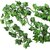 Set of 12 , De Gardenia Artificial Ivy Hanging Grass Creepers, 7.5 Ft Long, Green, for Home  Wall Decoration