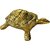 Sambhaav Handcrafted Brass Turtle Dcor for Home A Timeless Symbol of Patience (4 Inch)