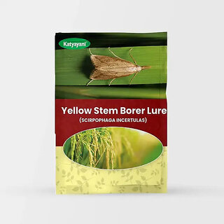                       Katyayani Yellow Stem Borer Lure (SCIRPOPHAGA INCERTULAS)  10 Pieces ( 1 Piece x 10)                                              