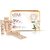 Lotus Herbals Radiant PartyGLOW White Peony  Argan Oil Detanning Facial Kit  5 Easy Steps Pack of 4  228g