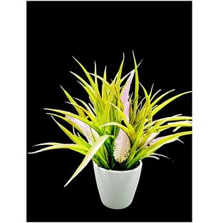 De Gardenia Mini Artificial Plants Set Multicoloured Lifelike Faux Plants for Home and Office Decore Small Bonsai (Purple 4) De Gardenia Mini Artificial Plants Set Multicoloured Lifelike Faux Plants for Home and Office Decore Small Bonsai (Purple 4)