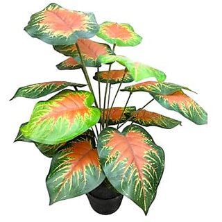 De Gardenia Artificial Areca Palm Money Tree with 18 Long Leaves 70 cm Tall Red Bonsai Plant with Pot Indoor/Outdoor Decorative Faux Plant for Home and Office De Gardenia Artificial Areca Palm Money Tree with 18 Long Leaves 70 cm Tall Red Bonsai Plant with Pot Indoor/Outdoor Decorative Faux Plant for Home and Office