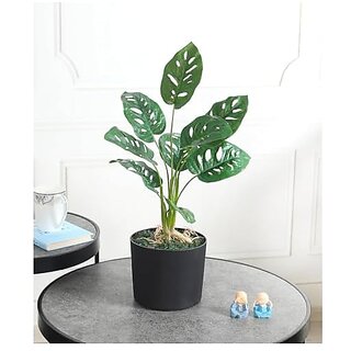                       De Gardenia Artificial Monstera Rubber Plant with Black Pot | 50 cm Tall Faux Ornamental Plant for Home Decor | Realistic Indoor Greenery                                              