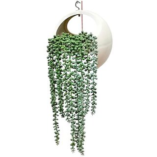                       De Gardenia Artificial Plant with Plastic Hanging Basket Pot Hanging Plants Leaves and Creepers for Living Room Decoration Home Decor and Wall Beautification (Green 1)                                              