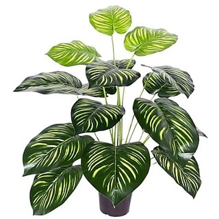 De Gardenia Large Artificial Tree with Dual Shade Big Leaves - Decorative Floor Plant for Home Office and Indoor Garden (Height: 63 cm Potted 12 Leaves) De Gardenia Large Artificial Tree with Dual Shade Big Leaves - Decorative Floor Plant for Home Office and Indoor Garden (Height: 63 cm Potted 12 Leaves)