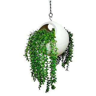                       De Gardenia Artificial Plant with Plastic Hanging Basket Pot Hanging Plants Leaves and Creepers for Living Room Decoration Home Decor and Wall Beautification (Green 2)                                              