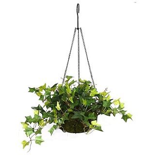 De Gardenia English Ivy Artificial Plant in Hanging Ironware Basket | 16 Inches Green Faux Ivy | Decorative Hanging Basket for Home Balcony and Garden Decor | Indoor/Outdoor Use