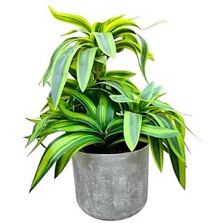 De Gardenia Handmade Artificial Dracaena reflexa Bonsai Plant with Pot 30 cm Tall Faux Plant for Home and Office Decor Realistic Indoor Decorative Plant De Gardenia Handmade Artificial Dracaena reflexa Bonsai Plant with Pot 30 cm Tall Faux Plant for Home and Office Decor Realistic Indoor Decorative Plant