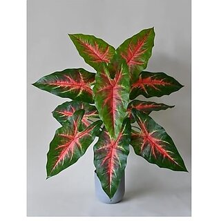De Gardenia Artificial Caladium Plant with Black Pot | 12 Leaves with Web Pattern | 78.7 cm Tall Decorative Indoor Plant for Home and Office Decor (Red Patched Caladium Plant) De Gardenia Artificial Caladium Plant with Black Pot | 12 Leaves with Web Pattern | 78.7 cm Tall Decorative Indoor Plant for Home and Office Decor (Red Patched Caladium Plant)