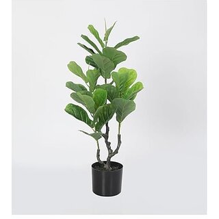 De Gardenia Decorative Artificial Fiddle Leaf Fig Tree for Home Garden Outdoor Indoor Decoration | 90 cm Tall Green Plant with Black Pot De Gardenia Decorative Artificial Fiddle Leaf Fig Tree for Home Garden Outdoor Indoor Decoration | 90 cm Tall Green Plant with Black Pot