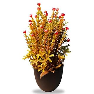 De Gardenia Artificial Bonsai Plant with Black Pot | Decorative Tabletop Accessory for Home Office Bedroom Balcony and Living Room | Realistic Faux Plant | 12 Inches Tall | Natural Look (2 Red) De Gardenia Artificial Bonsai Plant with Black Pot | Decorative Tabletop Accessory for Home Office Bedroom Balcony and Living Room | Realistic Faux Plant | 12 Inches Tall | Natural Look (2 Red)