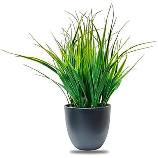                       De Gardenia Artificial Plants - 30 cm Small Fake Plant with Green Wheat Grass Guldasta | Decorative Item for Home Office Desk Bathroom | Black Pot Included                                              