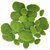 De Gardenia 24 PCS 3 Size Artificial Moss Rocks Decorative Green Moss BallsMoss Stones Green Moss Covered Stones Fake Moss Decor for Floral Arrangements Fairy Gardens and Crafting