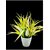 De Gardenia Mini Artificial Plants Set Multicoloured Lifelike Faux Plants for Home and Office Decore Small Bonsai (Multicolour(Pink Purple YellowDark Yellow Greenish Yelllow 1)