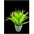 De Gardenia Mini Artificial Plants Set Multicoloured Lifelike Faux Plants for Home and Office Decore Small Bonsai (Multicolour(Pink Purple YellowDark Yellow Greenish Yelllow 2)