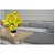 De Gardenia Natural Looking Artificial Money Plant | Ornamental Tree for Interior Home Shop and Office Decor | 18 Inches Tall | Pot Not Included (2 Carton_5)