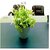 De Gardenia Mini Artificial Plants Multicolours Lifelike Fake PlantsHome and Office Decor Mini Artificial Plants Set for Home and Office Decor Lifelike Fake Plants (White 4)