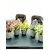 De Gardenia Mini Artificial Plants Multicolours Lifelike Fake PlantsHome and Office Decor Mini Artificial Plants Set for Home and Office Decor Lifelike Fake Plants (White 4)