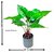 De Gardenia Artificial Philodendron Plants | Faux Greenery with Plastic Pots for Home and Office Decor | Natural Look Indoor Decoration (Pack of 2)
