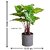 De Gardenia Artificial Philodendron Plants | Faux Greenery with Plastic Pots for Home and Office Decor | Natural Look Indoor Decoration (Pack of 2)
