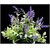 De Gardenia Mini Artificial Plants Multicolours Lifelike Fake PlantsHome and Office Decor Mini Artificial Plants Set for Home and Office Decor Lifelike Fake Plants (Blue 2)