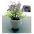 De Gardenia Mini Artificial Plants Multicolours Lifelike Fake PlantsHome and Office Decor Mini Artificial Plants Set for Home and Office Decor Lifelike Fake Plants (Blue 2)