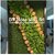 Artificial Green Craft Moss Natural Look for DIY Art Home Decor Terrariums Floral Arrangements and Event Styling Soft and Realistic Maintenance-Free (Dark Green)