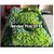 Artificial Green Craft Moss Natural Look for DIY Art Home Decor Terrariums Floral Arrangements and Event Styling Soft and Realistic Maintenance-Free (Dark Green)