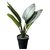 De Gardenia Artificial Banana Travellers Palm Plant with Plastic Pot for Home Decor | Natural Look | (14 /36 cm)