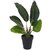 De Gardenia Artificial Banana Travellers Palm Plant with Plastic Pot for Home Decor | Natural Look | (14 /36 cm)