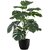 De Gardenia Artificial Money Plant- 55 cm Tall Lifelike Green Ornamental Plant for Interior Home and Office Decor Pot Not Included