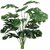 De Gardenia Artificial Money Plant- 55 cm Tall Lifelike Green Ornamental Plant for Interior Home and Office Decor Pot Not Included