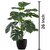 De Gardenia Artificial Money Plant- 55 cm Tall Lifelike Green Ornamental Plant for Interior Home and Office Decor Pot Not Included