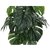 De Gardenia Artificial Money Plant- 55 cm Tall Lifelike Green Ornamental Plant for Interior Home and Office Decor Pot Not Included
