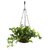 De Gardenia English Ivy Artificial Plant in Hanging Ironware Basket | 16 Inches Green Faux Ivy | Decorative Hanging Basket for Home Balcony and Garden Decor | Indoor/Outdoor Use