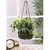 De Gardenia English Ivy Artificial Plant in Hanging Ironware Basket | 16 Inches Green Faux Ivy | Decorative Hanging Basket for Home Balcony and Garden Decor | Indoor/Outdoor Use