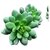De Gardenia 4 Pc Succulent Heads Small Mini Plants Exquisite Faux Plant Add Charm to Your Home Perfect for Gifting Office Decor Farmhouse and Office Desk Withouth Pot (4 Green 1)