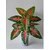 De Gardenia Artificial Caladium Plant with Black Pot | 12 Leaves with Web Pattern | 78.7 cm Tall Decorative Indoor Plant for Home and Office Decor (Red Patched Caladium Plant)