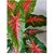 De Gardenia Artificial Caladium Plant with Black Pot | 12 Leaves with Web Pattern | 78.7 cm Tall Decorative Indoor Plant for Home and Office Decor (Red Patched Caladium Plant)