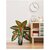 De Gardenia Artificial Caladium Plant with Black Pot | 12 Leaves with Web Pattern | 78.7 cm Tall Decorative Indoor Plant for Home and Office Decor (Red Patched Caladium Plant)
