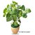 De Gardenia Natural Looking Artificial Money Plant | Ornamental Tree for Interior Home Shop and Office Decor | 18 Inches Tall | Pot Not Included (1 Carton_4)
