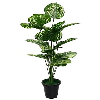 De Gardenia 30-Inch Artificial Philodendron Tropical Caladium Plant with Pot Dark Green for Indoor and Outdoor Home Office Shop and Restaurant Decoration (Pack of 1) De Gardenia 30-Inch Artificial Philodendron Tropical Caladium Plant with Pot Dark Green for Indoor and Outdoor Home Office Shop and Restaurant Decoration (Pack of 1)