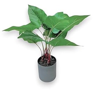De Gardenia Artificial Philodendron Plant | 19 (48 cm) Faux Green Plant with Plastic Pot for Home and Office Decor | Natural Look Indoor Decoration De Gardenia Artificial Philodendron Plant | 19 (48 cm) Faux Green Plant with Plastic Pot for Home and Office Decor | Natural Look Indoor Decoration