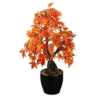 De Gardenia Artificial Bonsai Japanese Maple Plant in Glossy Ceramic Pot 233 Leaf 39 cm Mixed Material Orange Perfect for Home and Office Decor (DGB N245) De Gardenia Artificial Bonsai Japanese Maple Plant in Glossy Ceramic Pot 233 Leaf 39 cm Mixed Material Orange Perfect for Home and Office Decor (DGB N245)