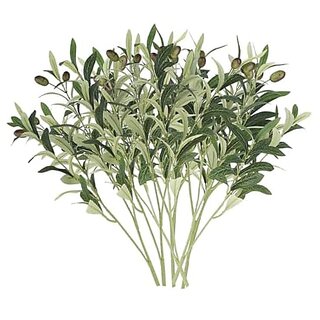 De Gardenia Faux Olive Small Branches Artificial Olive Branches with Fruits and Leaves | Decorative Fake Branches for Vases | Vase Not Included 70+ Leaves and 6+ Fruits | Pack of 3 Sticks De Gardenia Faux Olive Small Branches Artificial Olive Branches with Fruits and Leaves | Decorative Fake Branches for Vases | Vase Not Included 70+ Leaves and 6+ Fruits | Pack of 3 Sticks
