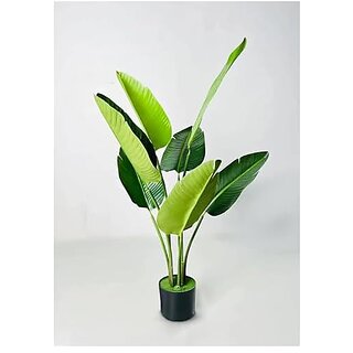 De Gardenia Artificial Banana Plant with Basic Black Pot 3 Stems Having 8 Leaves Big Ornamental Plant for Interior Decor/Home Decor/Office Decor 108 cm (3.5Feet) Tall Indoor Tropical Plant | Durable De Gardenia Artificial Banana Plant with Basic Black Pot 3 Stems Having 8 Leaves Big Ornamental Plant for Interior Decor/Home Decor/Office Decor 108 cm (3.5Feet) Tall Indoor Tropical Plant | Durable