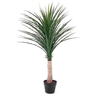 De Gardenia Artificial Nolina Floor Plant 150 cm Tall | Realistic Faux Indoor Ornamental Plant | Durable and Maintenance-Free Home and Office Decor | Pot Not Included De Gardenia Artificial Nolina Floor Plant 150 cm Tall | Realistic Faux Indoor Ornamental Plant | Durable and Maintenance-Free Home and Office Decor | Pot Not Included