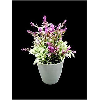                       De Gardenia Mini Artificial Plants Multicolours Lifelike Fake PlantsHome and Office Decor Mini Artificial Plants Set for Home and Office Decor Lifelike Fake Plants (Purple 2)                                              